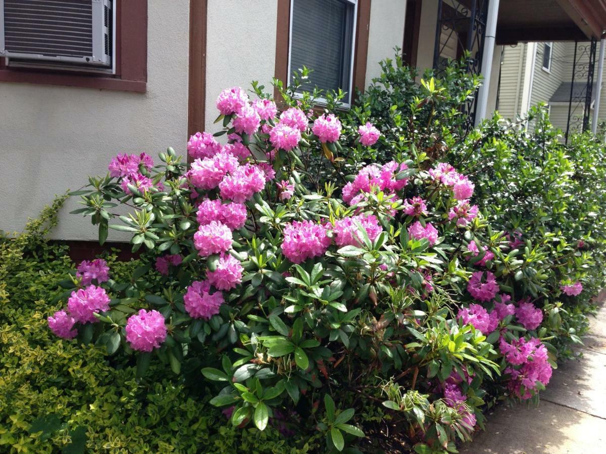 Bowers House Bnb Harvard Mit Cambridge Boston Somerville Exterior photo